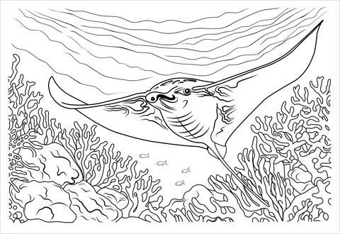 Deep sea manta ray coloring page. cartoon stingray linear illustration for .. Stock Illustration