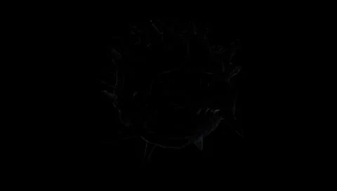 Deep Sea Monster Fish Stock Illustration