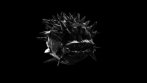 Deep Sea Monster Fish Stock Illustration