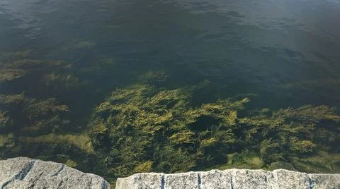 Deep sea Stock Photos