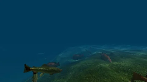 Deep sea under part with fish Stock Footage 337954840