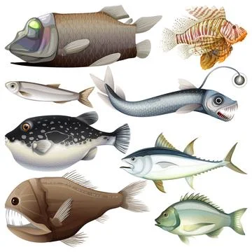 Deep Sea Underwater Creature Vector Set Stock Illustration