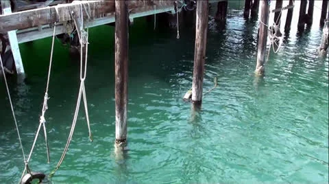 Deep-Sea Water Under Ocean Pier in Monterey Bay Stock Footage 25508989