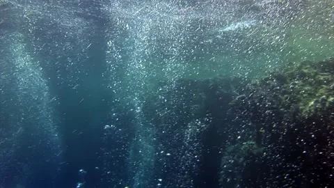 Deep sea whispers of bubbles rising in underwater paradise Stock Footage 314213634