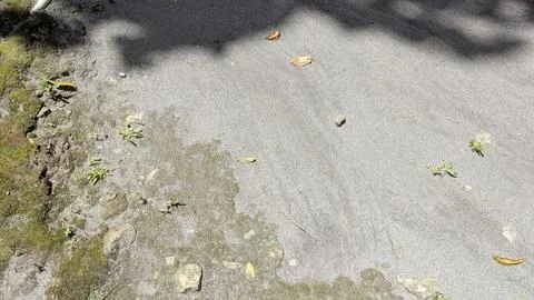 Deep shadows fall across volcanic sand. Green moss edges the gritty ground... Stock Photos