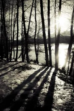 Deep shadows at sunset Stock Photos