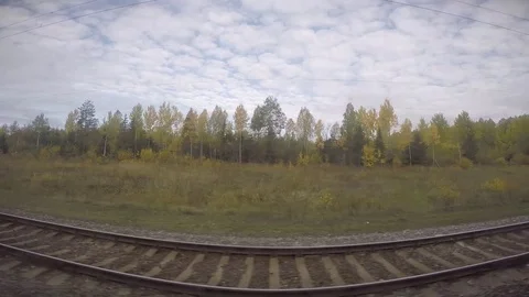 Deep Siberian Forest Under Splotches of Fluffy Clouds in a Pale Blue Sky Stock Footage 81944809