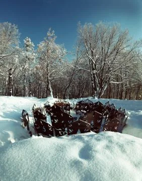 Deep snow and bare trees in winter park Stock Photos