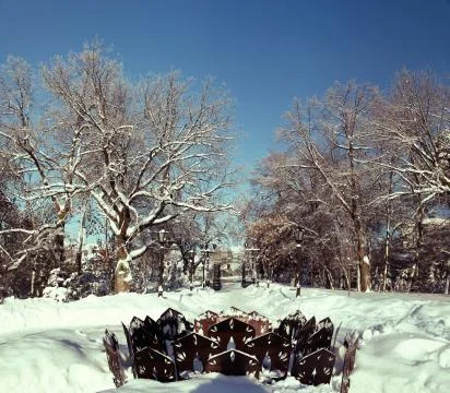Deep snow and bare trees in winter park Stock Photos