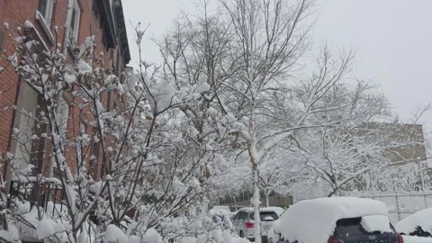 Deep Snow on Empty Brooklyn Residential Street, Bare Trees, Winter Blizzard 動画素材 329888820