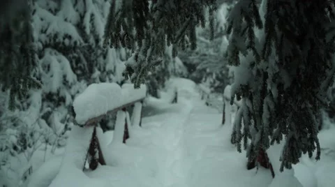 Deep Snow Mountain Bridge Changing Focus 4K Stock Footage 59773355