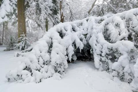 Deep snow 스톡 사진