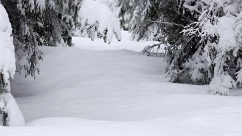 Deep snow in winter nature 4k 25fps video 库存影片 330551089
