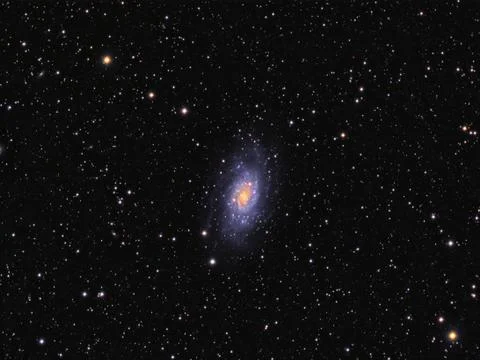 Deep space object galaxy NGC 2403 in Camelopardalis constellation Stock Photos
