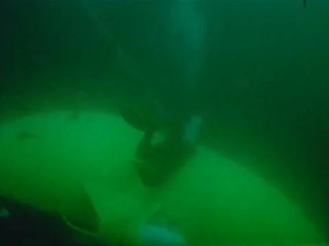 Deep Star 4000, a dry submergence vehicle, looks for leaks in SEALAB III, an Stock Footage 74947414