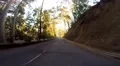 Deep sun reflections while driving serpentine road in Madeira HD Footage
