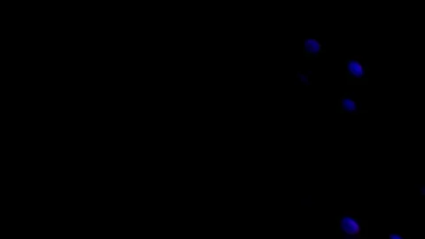 Deep Tech Quantum Particle Network Loop 4K - Innovation Digital Background Stock Footage 347176932