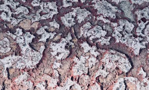 Deep thick textured red stone with irregular pattern shapes on it Illustrazione stock