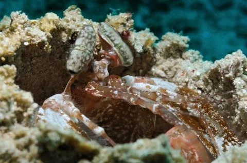 Deep in thought Stock Photos