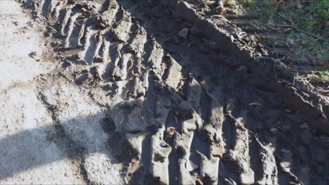 Deep tire tread marks stretch across the soaked mud Stock Footage 323538529