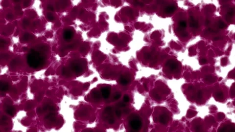 Deep tissue in the human body or living creatures that looks very complicated 库存影片 300187437