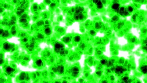 Deep tissue in the human body or living creatures that looks very complicated Stock Footage 300188126