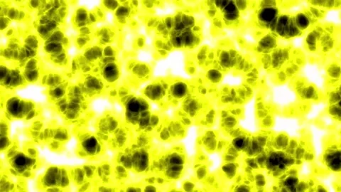 Deep tissue in the human body or living creatures that looks very complicated Stock-Footage 300188152