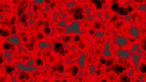 Deep tissue in the human body or living creatures that looks very complicated Stock Footage 300188153