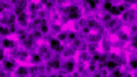 Deep tissue in the human body or living creatures that looks very complicated Stock Footage 300188418