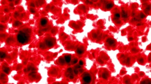 Deep tissue in the human body or living creatures that looks very complicated Stock Footage 300188563