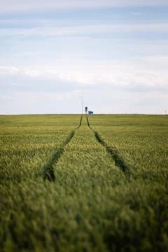 Deep tracks of agricultural machine wheels through green field Stock-Fotos