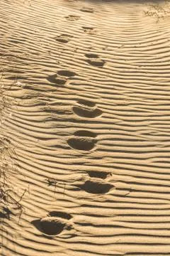 Deep tracks on grooved sand Stock Photos