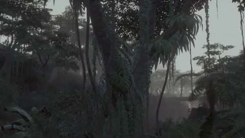 Deep tropical jungle in darkness Stock Footage 229419985