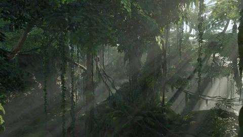 Deep Tropical Jungle in morning calm motion panning  3D Realistic Render Stock Footage