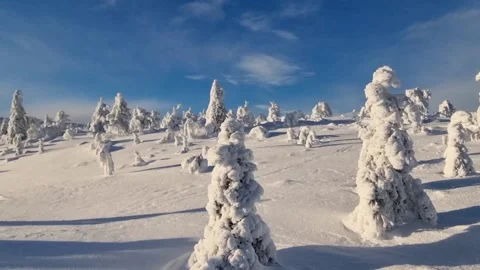 Deep, untouched snow on a mountain in Lapland Video stock 171408962