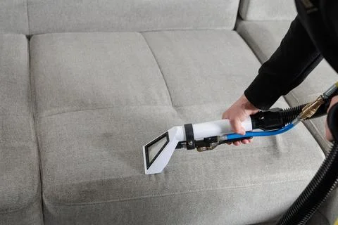 Deep upholstery cleaning of sofa with extraction vacuum removing embedded dir Stock Photos