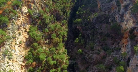 Deep Valley with River Bed and Pine Trees Top View Stock Footage 147095379