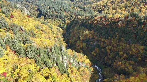 Deep Valley View | River Stream | Autumn Forest | Aerial - 4K Aerial Video Stock Footage 329047548