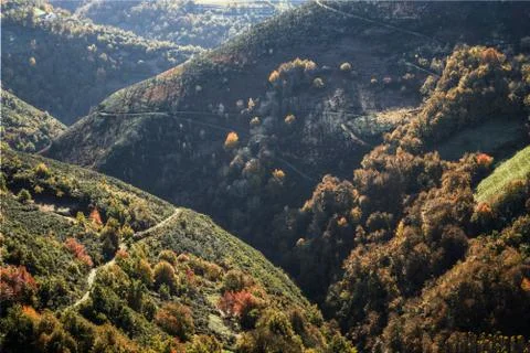 Deep valleys and rounded mountains covered with forest Stock Photos
