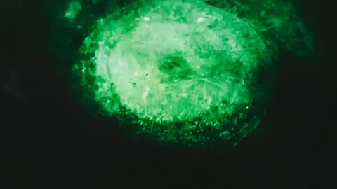 Deep water Stock Footage 252204090