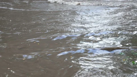 Deep wavy water after heavy rain in summer time Stock-Footage 140766366