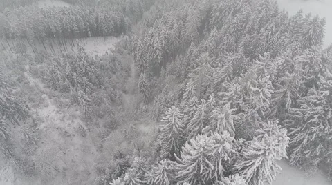 Deep winter in the Forrest - Aerial Flight Stock Footage 46002702