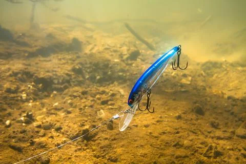 A deep wobbler dived to the bottom of the river Stock Photos