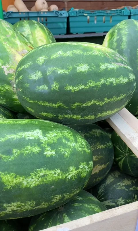 Deep Wooden Container Full Of Huge Watermelons Video stock 169011065