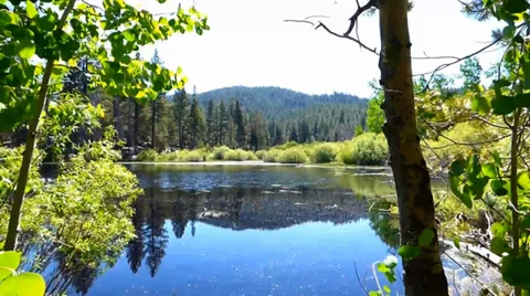 Deep Woods Deep Blue Lake Video stock 39648100
