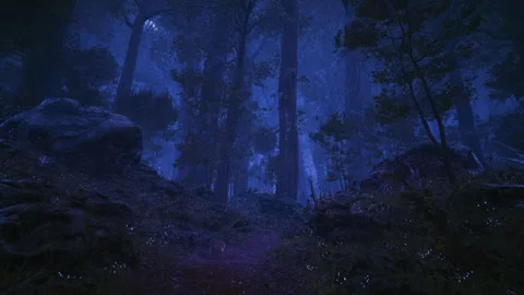 Deep Woods Drizzle Stock Footage 321465909