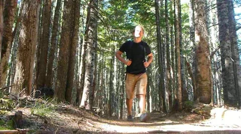 Deep Woods Hiker Stock Footage 12027349