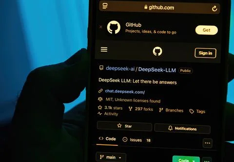 DeepSeek LLM on GitHub Overview Foto stock