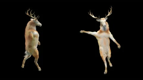 Deer, with Alpha matte. Stock Footage 138738503