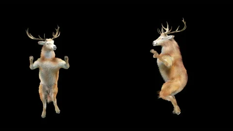 Deer, with Alpha matte. Stock Footage 138739330